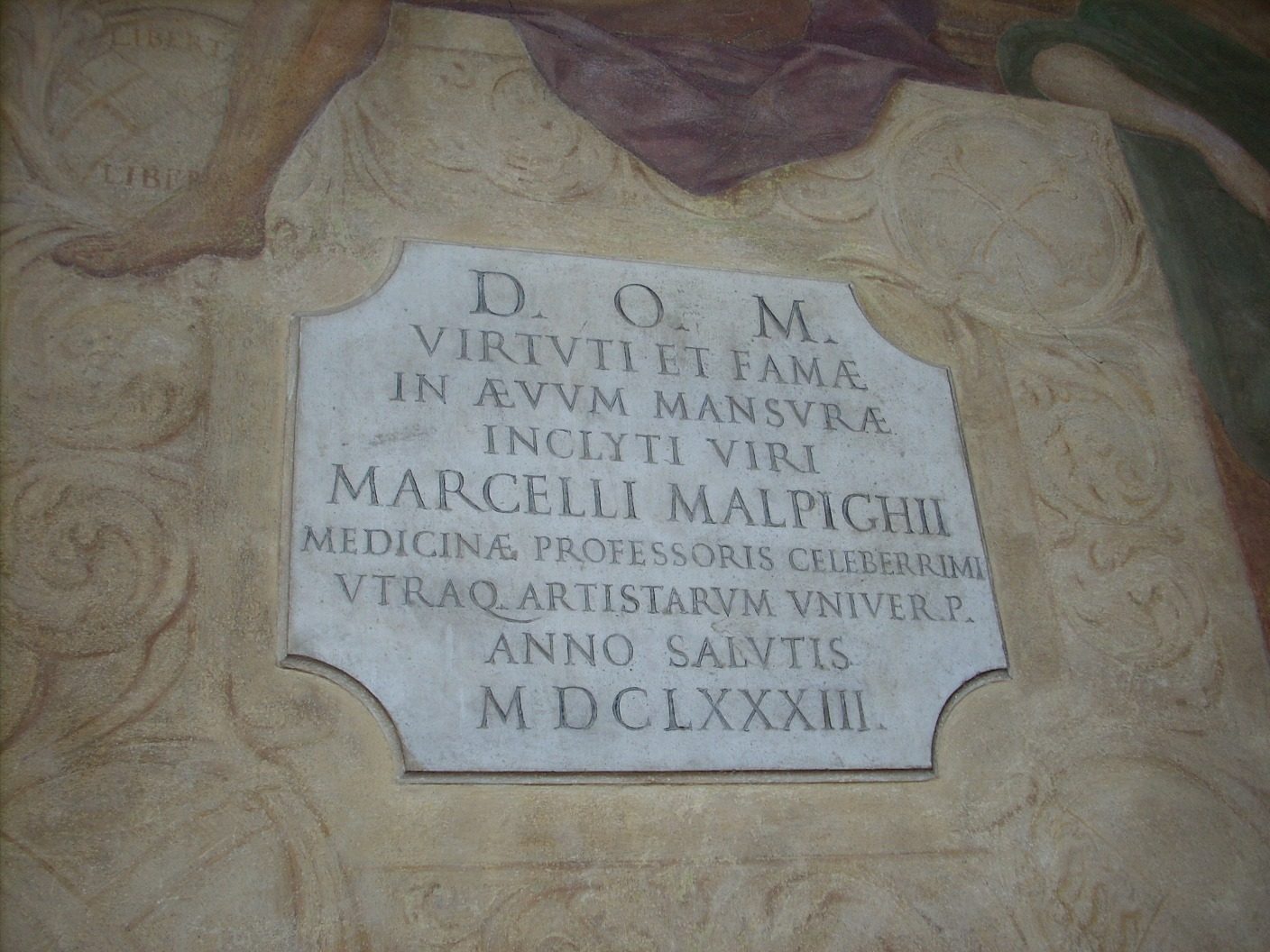 Marcello%20Malpighi%27s%20memorial%2C%20Palazzo%20dell%27Archiginnasio%2C%20Bologna%20-%2004.JPG